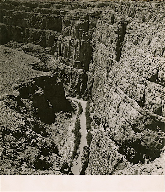Dades