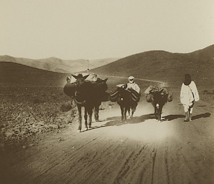 1931_Agdz_Bou_Azzer_1